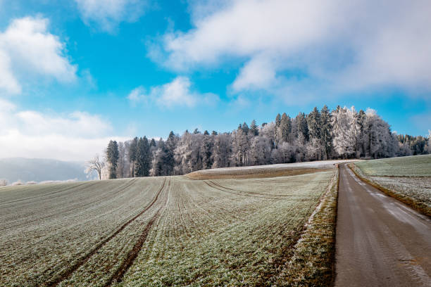 istock Scenic View Of Farm Against Sky 1084083422
