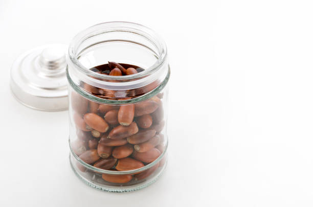 istock Glass jar with acorns on white background 1084092956