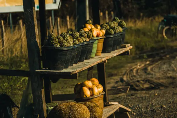 Photo of Fruits sold by the road