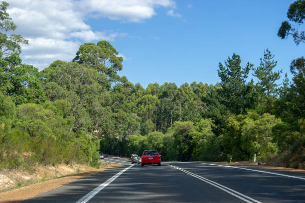 istock Road trip landscape full of trees 1084098242