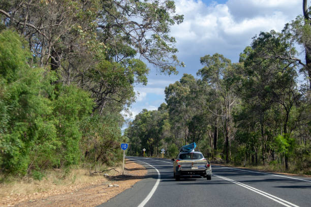istock Road trip landscape full of trees 1084098368