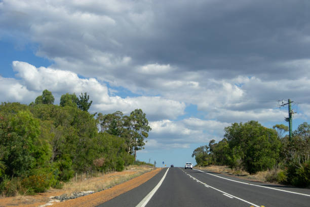 istock Road trip landscape full of trees 1084098380