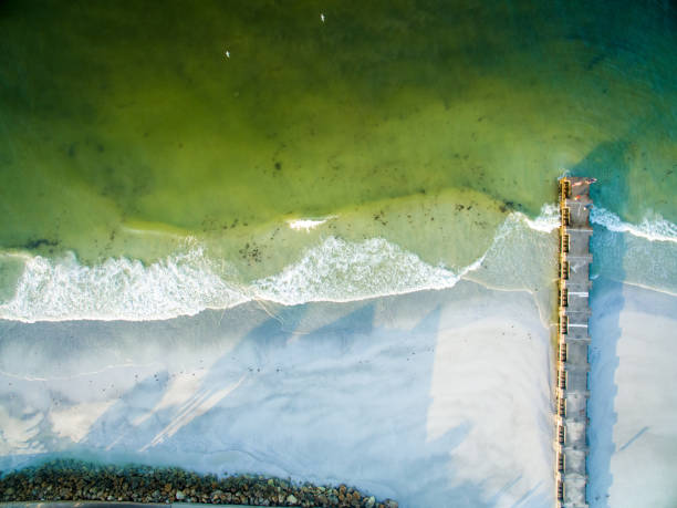 istock Aerial View of Waves and Surf with a Pier 1084102818