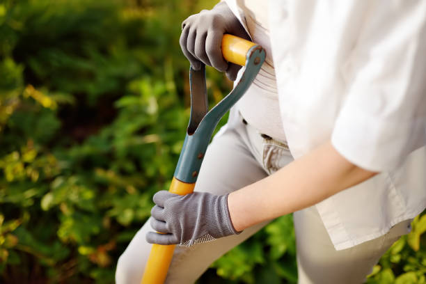 istock Woman dig shoveling in her backyard 1084104110