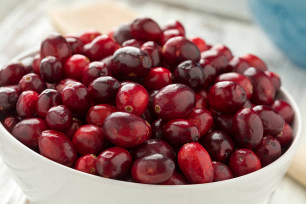istock Bowl with fresh ripe cranberries 1084105148