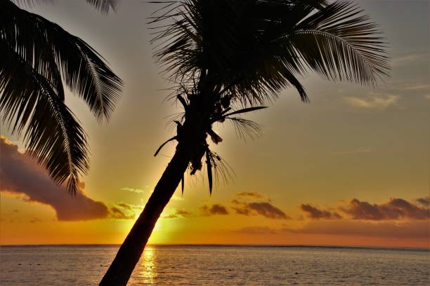 istock Iconic Tropical Indian Ocean Summer Sunsets - Le Morne, South West Mauritius 1084106914