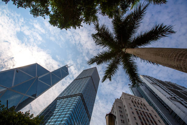 istock Tall buildings in Hong Kong 1084109508