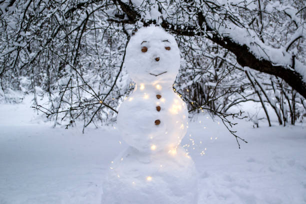 istock A cute snowman in the winter park. 1084109892