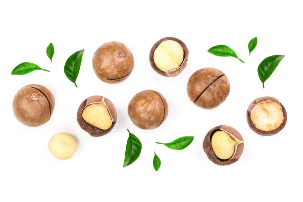 istock Shelled and unshelled macadamia nuts with leaves isolated on white background with copy space for your text. Top view. Flat lay pattern 1084116554