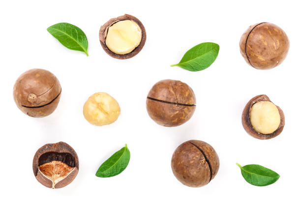 istock Shelled and unshelled macadamia nuts with leaves isolated on white background. Top view. Flat lay pattern 1084116572