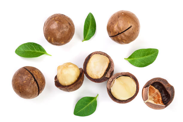 istock Shelled and unshelled macadamia nuts with leaves isolated on white background. Top view. Flat lay pattern 1084116574