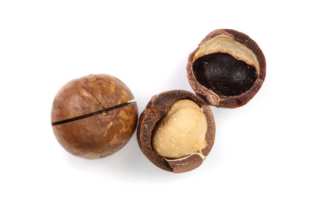 istock Shelled and unshelled macadamia nuts isolated on white background. Top view. Flat lay pattern 1084116580