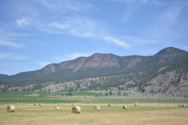 istock British Columbia - Kelowna & Area 1084133122
