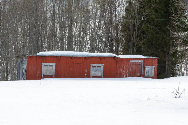 istock Old woodshed in deep snow 1084137868