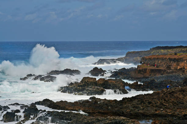 istock Spain, Canary Island, Tenerife 1084141142
