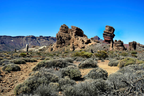 istock Spain, Canary Island, Tenerife, Teide National Park 1084141586