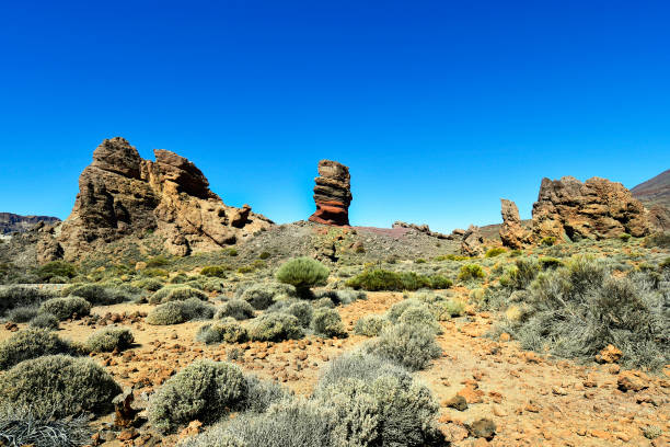 istock Spain, Canary Island, Tenerife, Teide National Park 1084141604