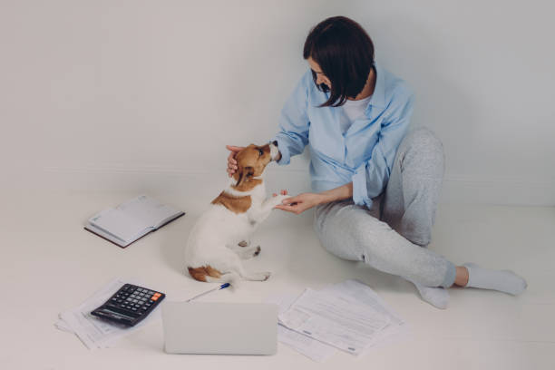 istock Brunette woman dressed casually, studies income report, sits on floor with laptop computer, paper documents, calculator, notepad, has fun with her favourite pet, isolated over white background 1084151018