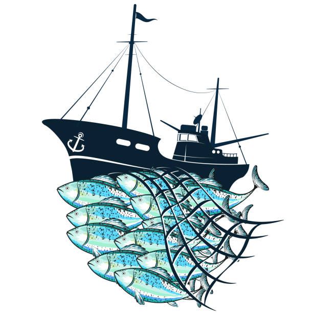 Fishing Boat And Fish In The Fishnet Stock Illustration - Download