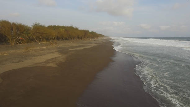istock sandy beach near the ocean 1084162774