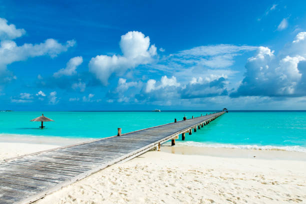 istock tropical Maldives island with white sandy beach and sea 1084164804