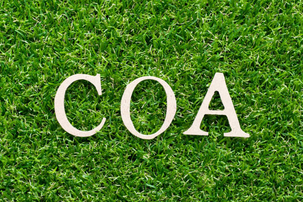 istock Wood alphabet in word COA (abbreviation of certificate of analysis, certificate of authenticity, cause of action) on artificial green grass background 1084165508