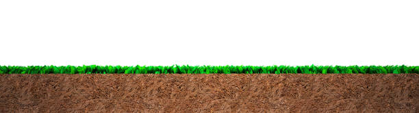 istock Cross section of grass and soil 1084168582