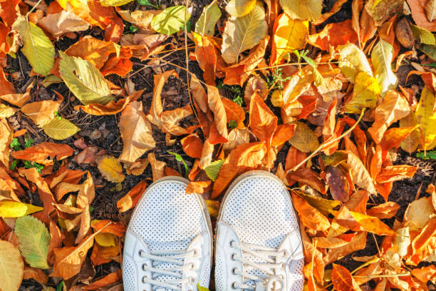 istock Shoes standing on ground with autumn leaves. Top view on fall tree leaves background. 1084171940