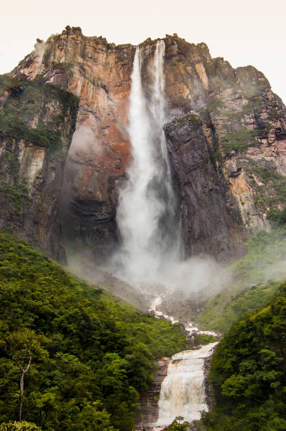 vertical view from below forest of angel falls full of water, in venezuela in canaima park, giving a sense of discovery and awe stock photo