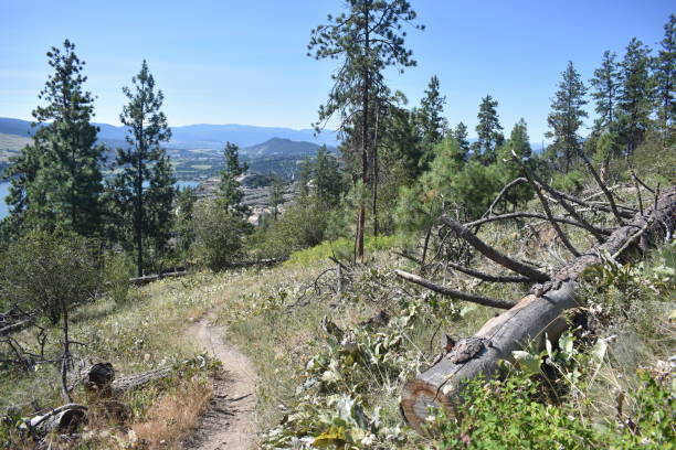 Interior BC