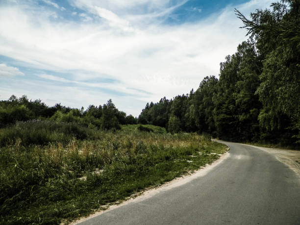 istock Forest road in Wiezyca, Kashubian Region, Poland. 1084190824