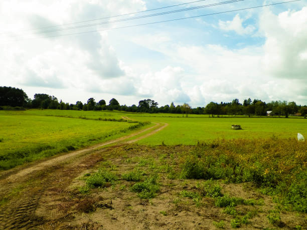 istock Green field in the Kashubian countryside. Poland. 1084190840