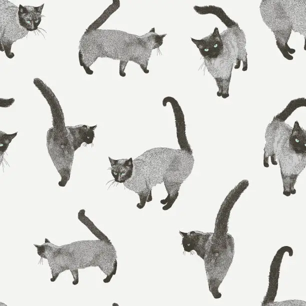 Vector illustration of Siamese Cat Seamless Repeat Pattern