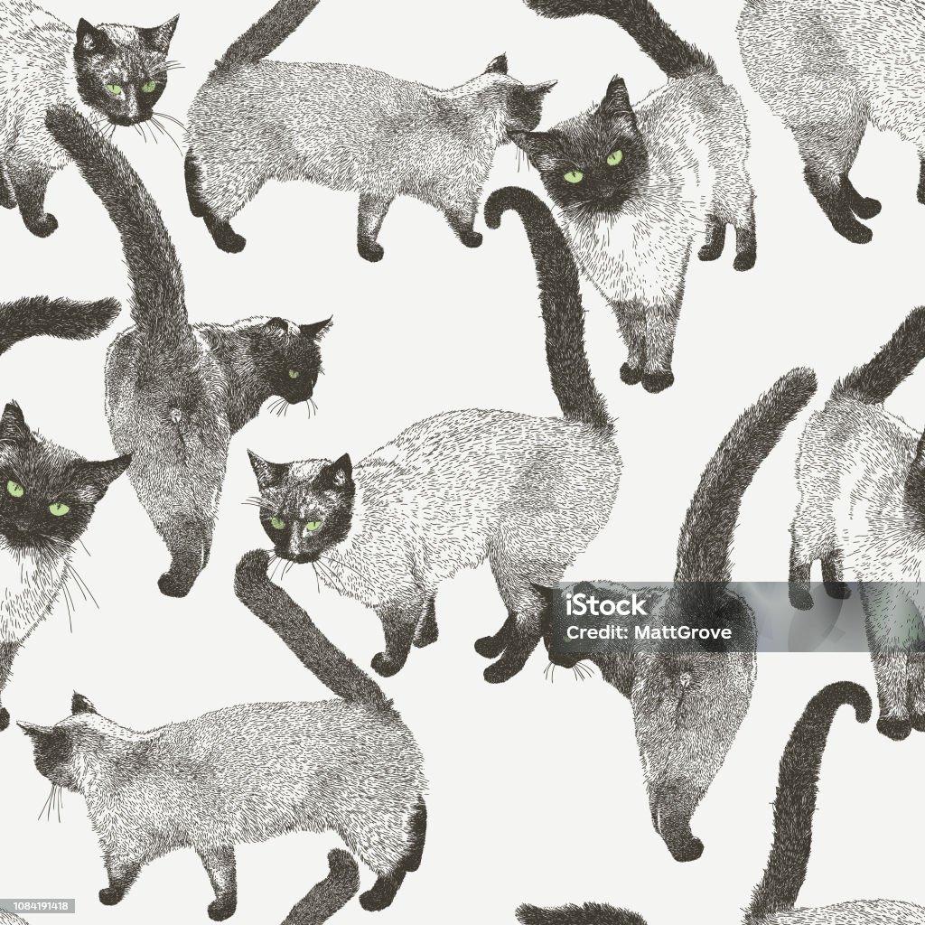 Siamese Cat Seamless Repeat Pattern Vector seamless repeat. All colors are layered and grouped separately.
Icons are available in more detail and in stroke form from my iStock folio. Easily editable. Domestic Cat stock vector