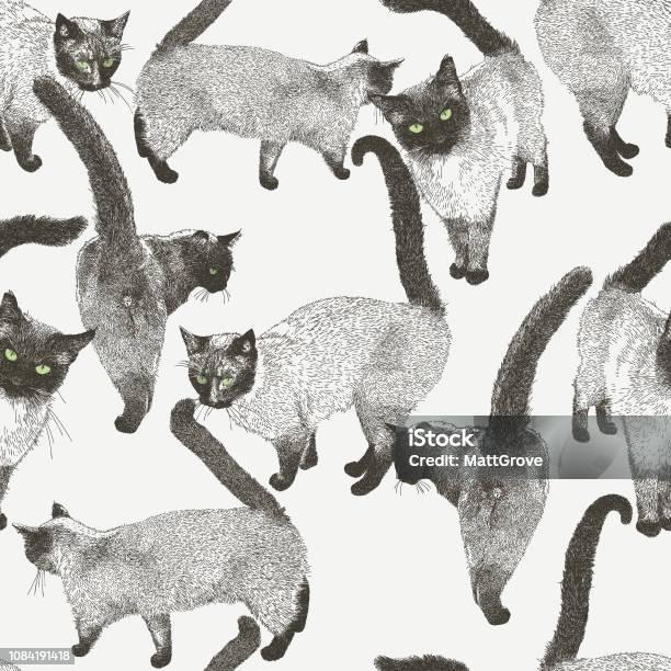 Siamese Cat Seamless Repeat Pattern Stock Illustration - Download Image Now - Domestic Cat, Seamless Pattern, Siamese Cat