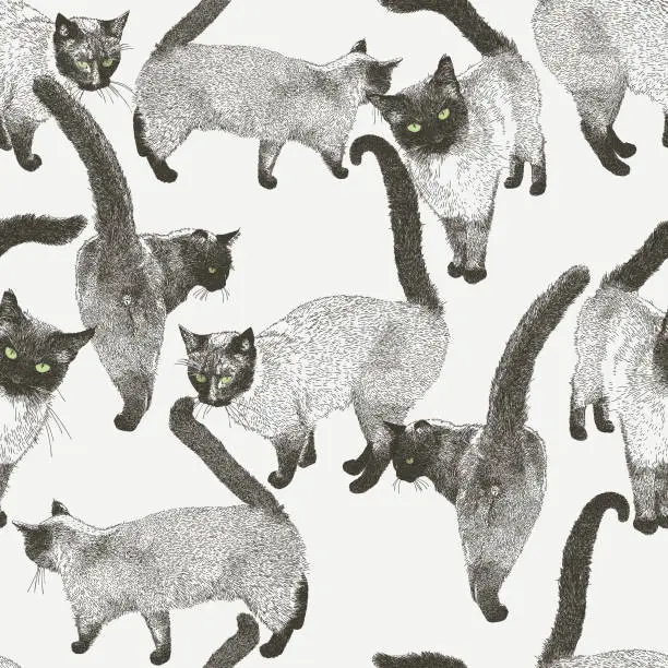 Vector illustration of Siamese Cat Seamless Repeat Pattern