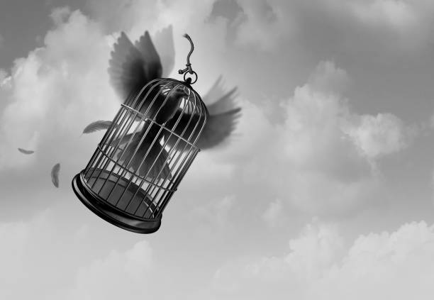 istock Unleash The Power Of Freedom 1084193048