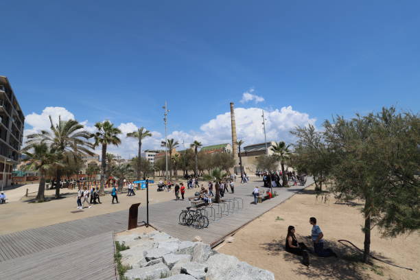 badalona strand mai 2018 - tree large group of people sand sunbathing stock-fotos und bilder