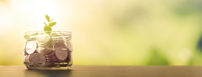Jar with coins. Plant sprout grows in the jar. Budget, saving money concept with copy space for web banner