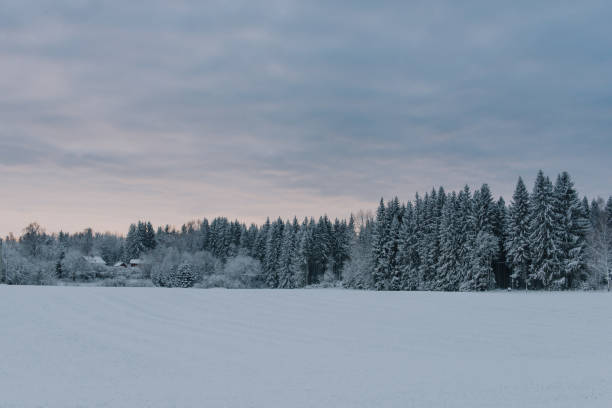 istock Snowy winter landscape in december rural forest nature 1084198480