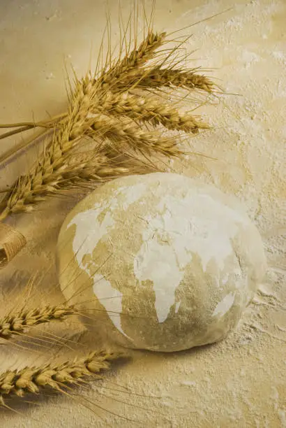 conceptual.Flour dough and water form a ball on which a map of the world is drawn and some ears of wheat on the table
