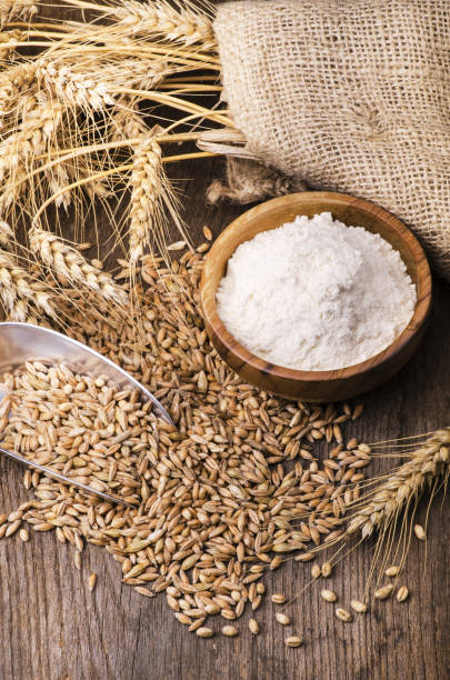 istock ears of wheat with flour and cereals 1084210792