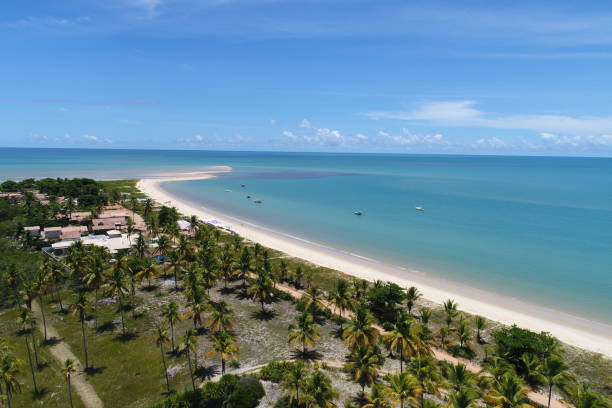 istock Beaches of Bahia 1084211534