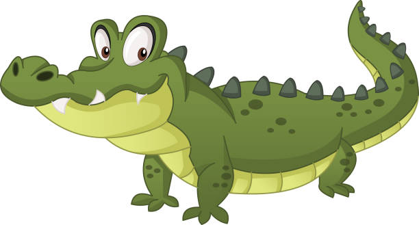 ilustraciones, imágenes clip art, dibujos animados e iconos de stock de dibujos animados lindo cocodrilo. ilustración de vector de divertido cocodrilo feliz. - alligator