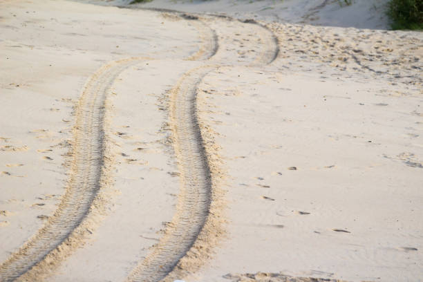 istock Tire tracks on the sand 1084219626