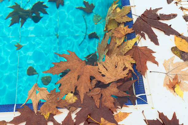 istock Dirty swimming pool with autumn leafs 1084221880