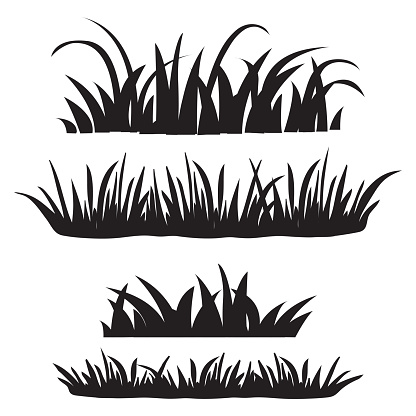 Set of grass, black silhouettes isolated on white background. Set of design elements of nature. Vector illustration