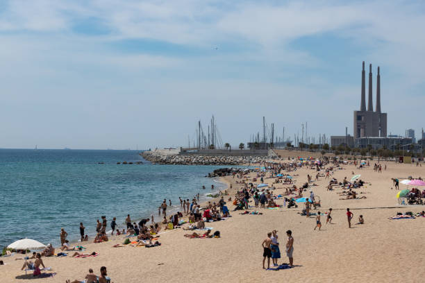 badalona strand mai 2018 - tree large group of people sand sunbathing stock-fotos und bilder