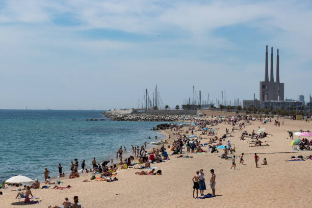 praia de badalona em maio de 2018 - tree large group of people sand sunbathing - fotografias e filmes do acervo