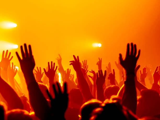 istock Crowd At Music Concert 1084231876